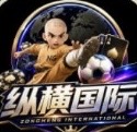 纵横国际